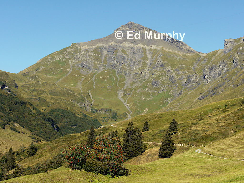 The Schilthorn rises from the head of the Schilt Valley