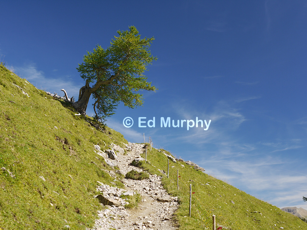 The Wildhorn Hut track