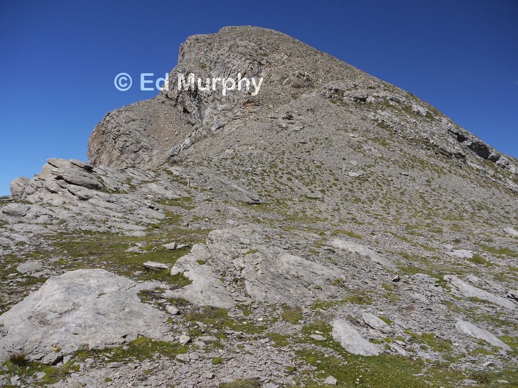 The Niesehorn