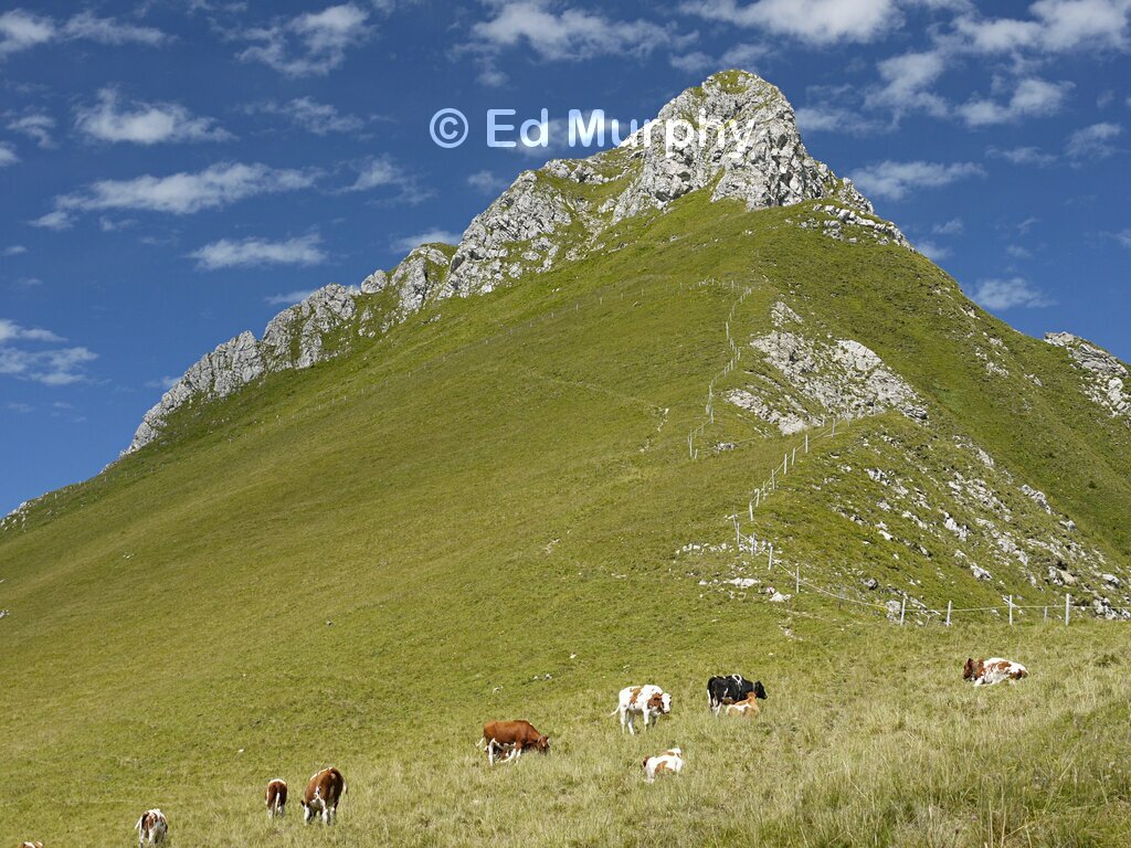 Ochsen summit from the saddle