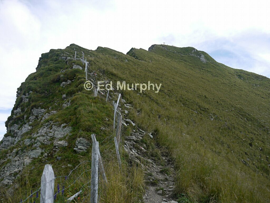 The path approaching the Schopfenspitz summit
