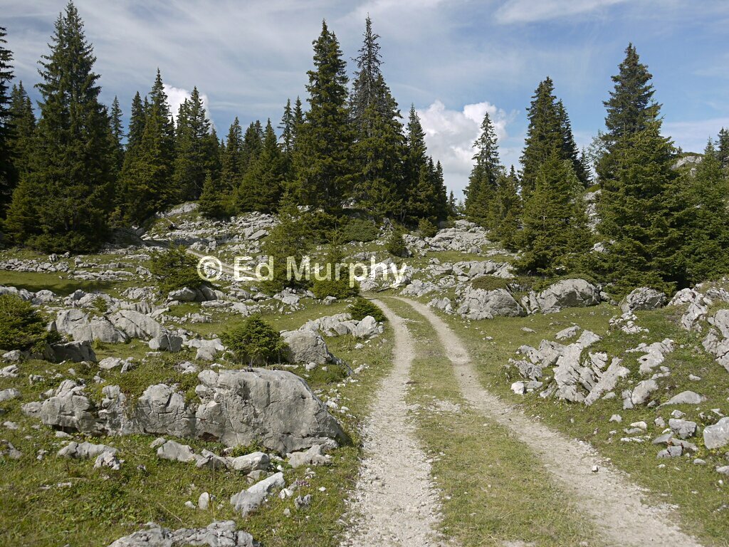Farm track in the Breccaschlund