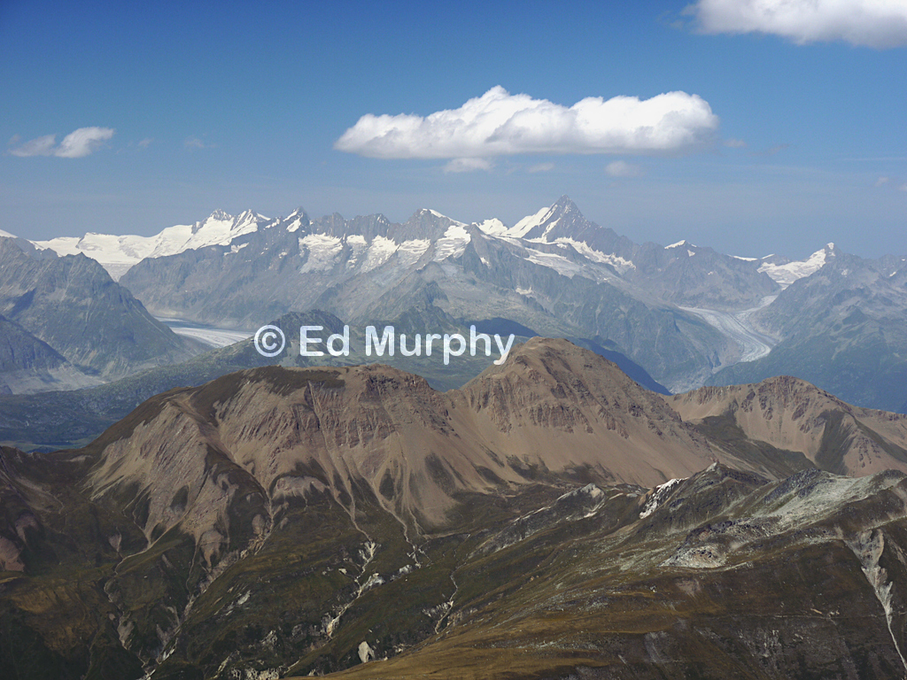 Aletsch and Fiescher Glaciers from the Wasenhorn summit