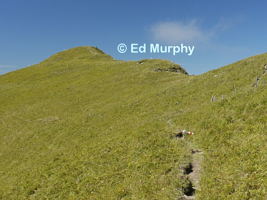 The B&uuml;rglen's easy summit