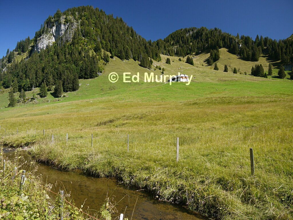 The Gros Mont alpine valley in the Gruy&egrave;re