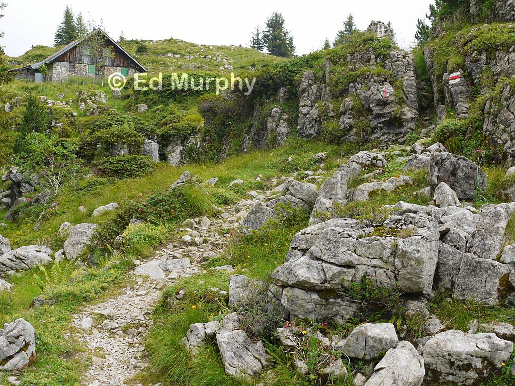 Oberbergli chalet and rock garden