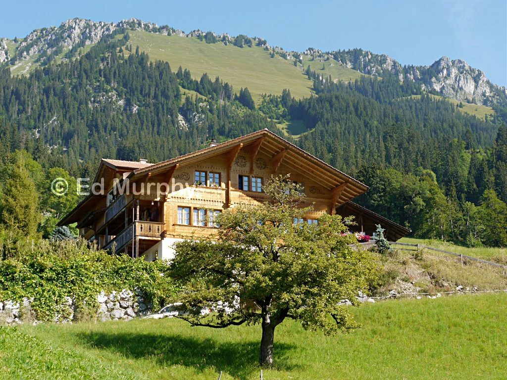 A Simmental chalet