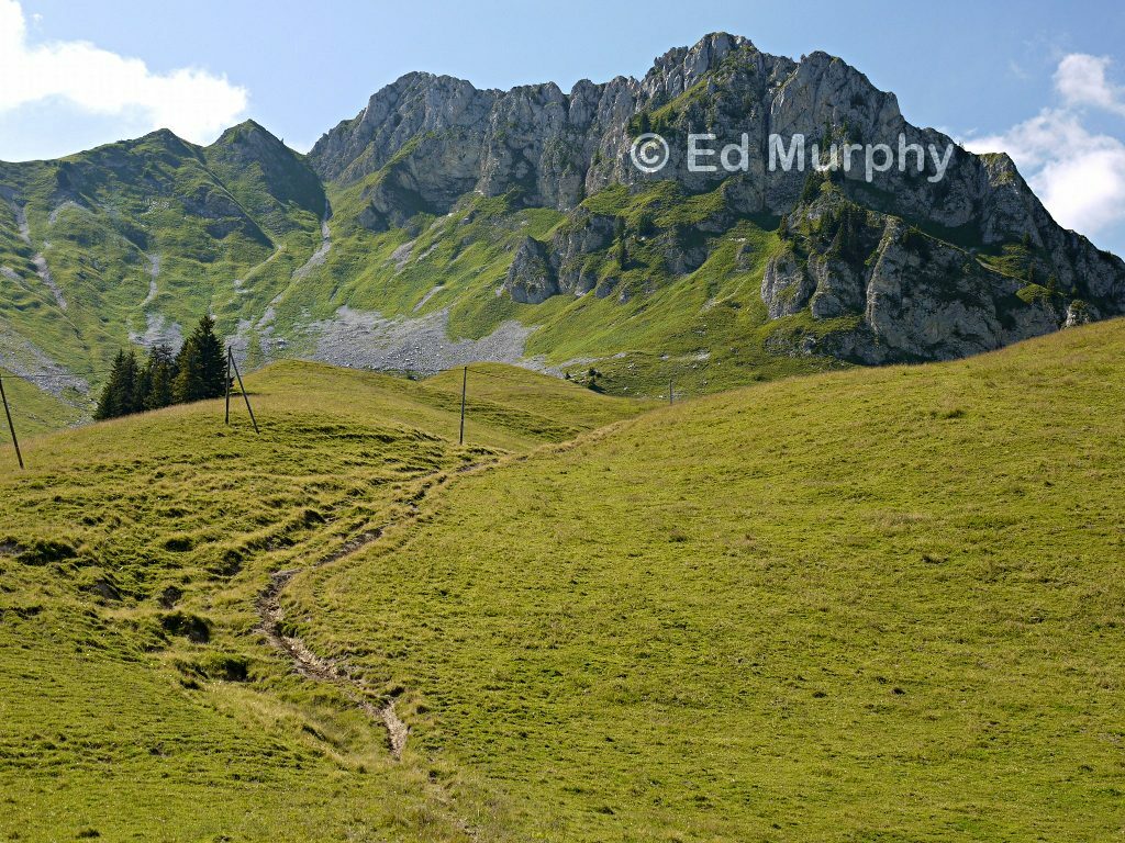 The Widdersgrind in early evening light