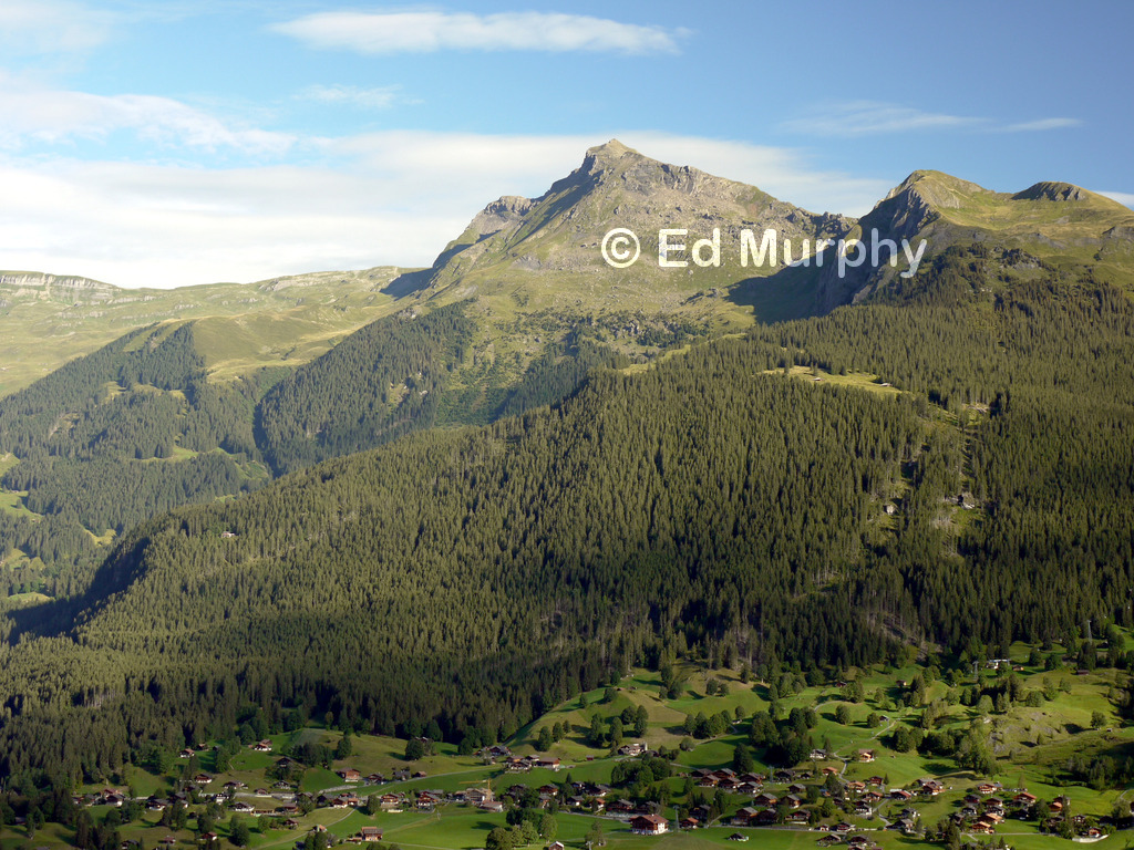The Reeti above the outskirts of Grindelwald