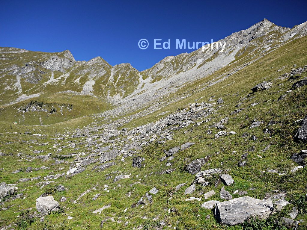 The Stierechummi Alp and the Fromberghorn