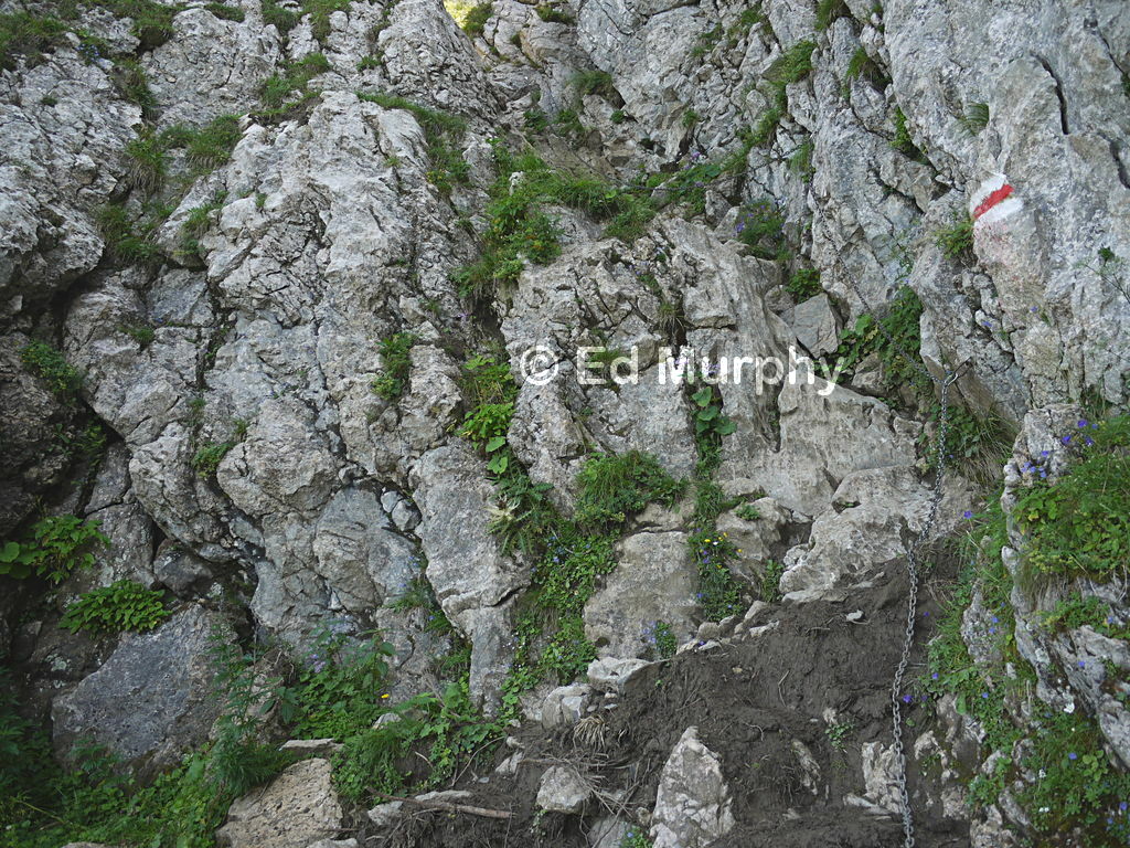 The path up the Morgenberghorn cliffs