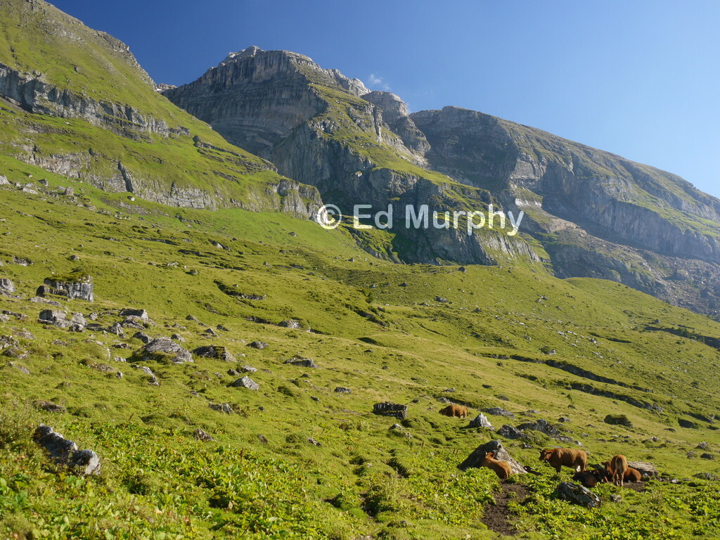 The Fisialp and the entrance of the Br&uuml;nnlital