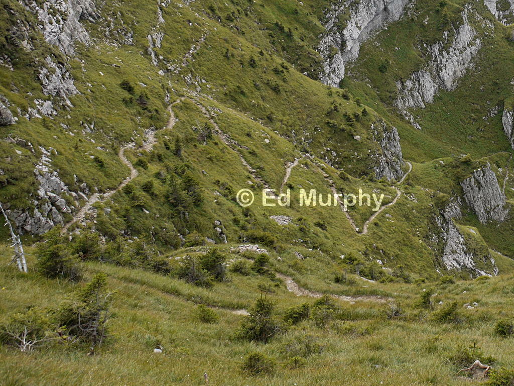 Hairpins on the path to the Trogenhorn