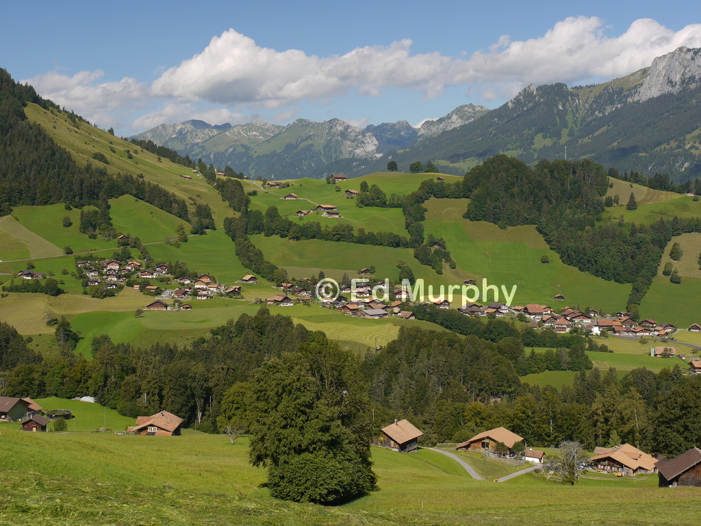 The chalets of the Diemtigtal