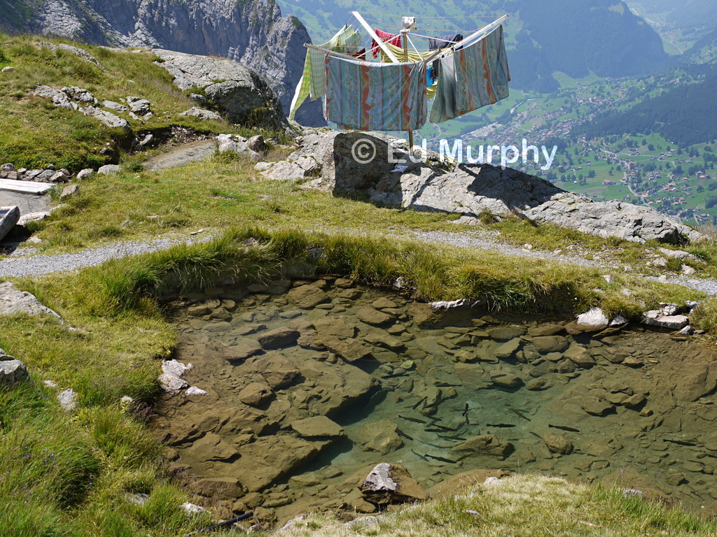 Domestic arrangements behind the Gleckstein Hut