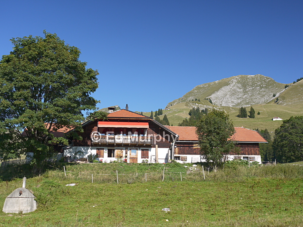 The Dent de Lys from Chabloz