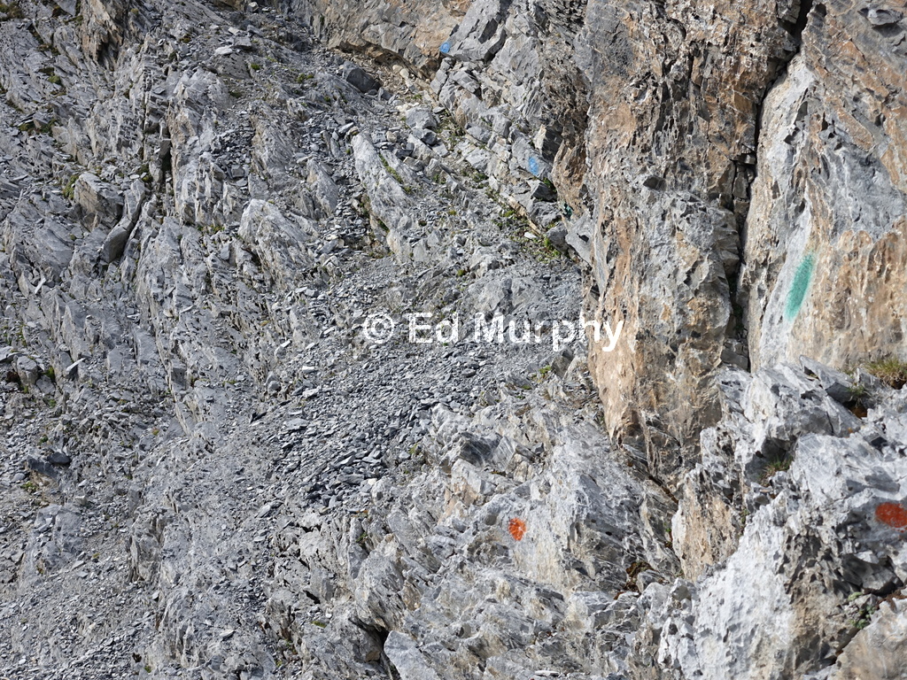 Any colour paint will do on the Grand Muveran