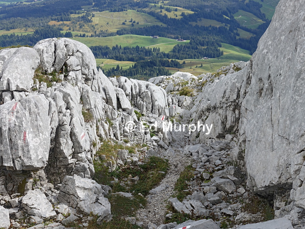 Path through the Schrattenflue karst
