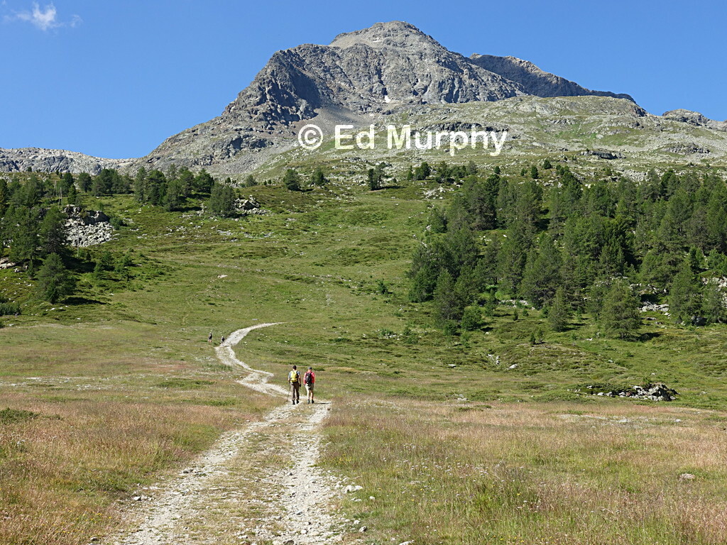 Munt Pers and the start of the Diavolezza track