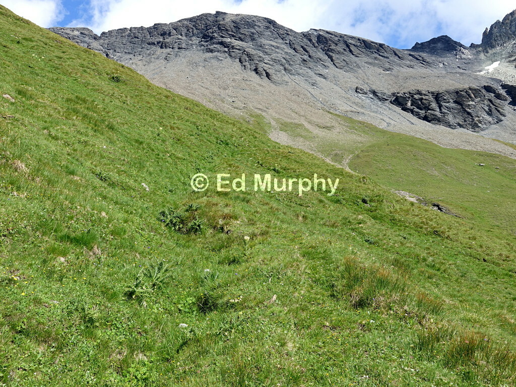 Easy trackless grass on the lower slopes of the Garde de Bordon