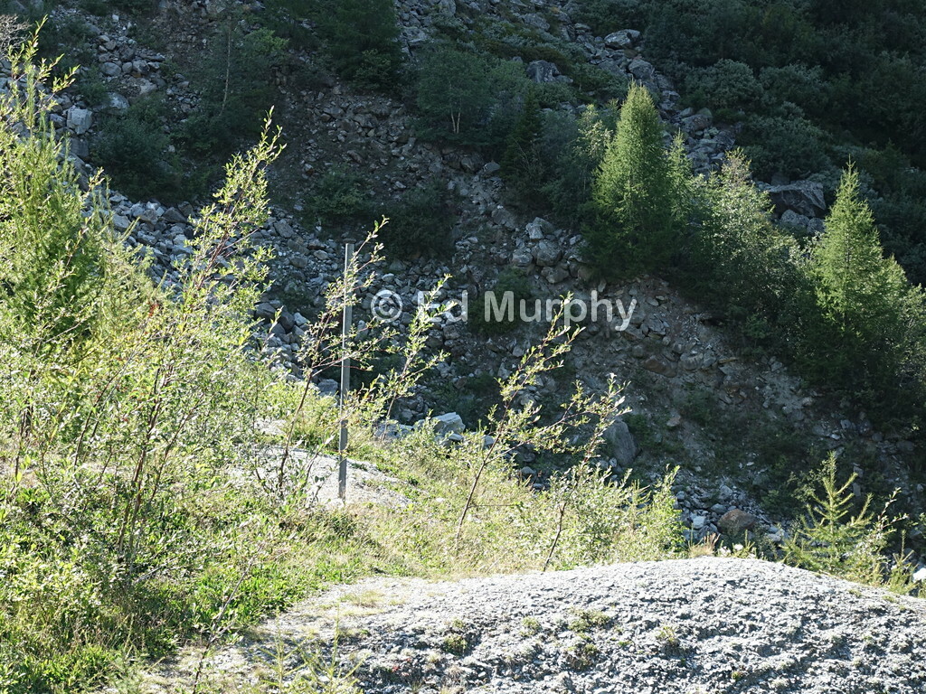 Once was a signpost? No help on the way to Le M&eacute;tailler
