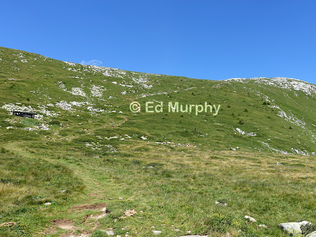 The easy path near the summit of the Elsighorn
