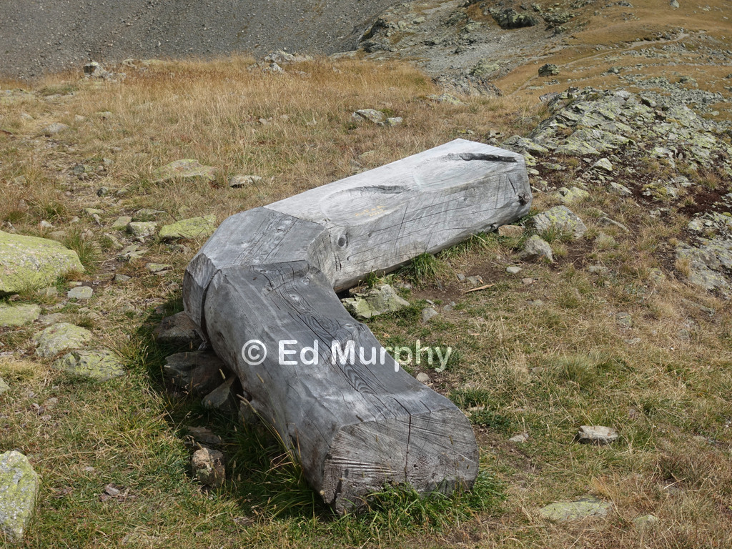 Tree trunk bench near the summit of Piz da l'Ova Cotschna