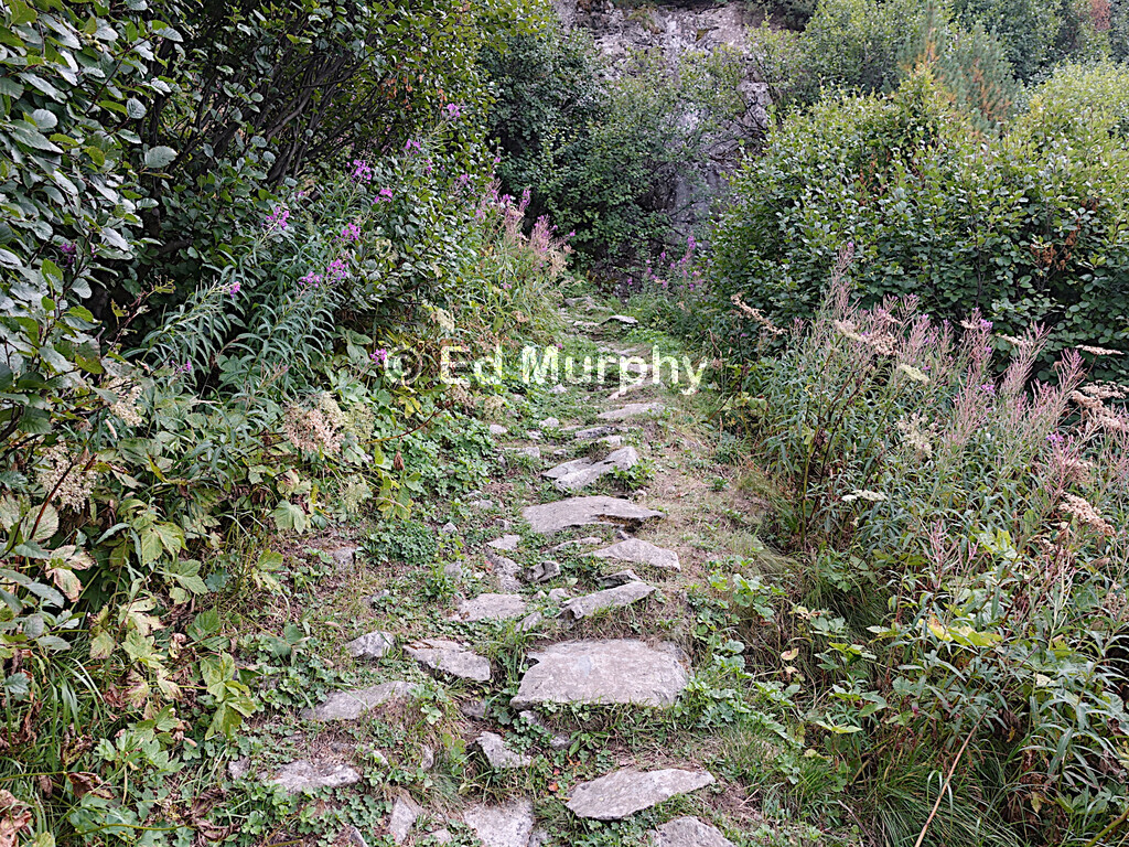 On the lower part of the path to Piz da l'Ova Cotschna