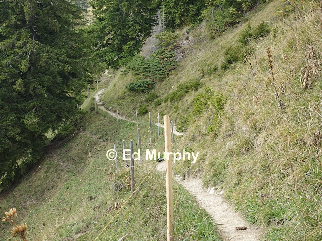 A pleasant path along the southeastern side of the Mol&eacute;son