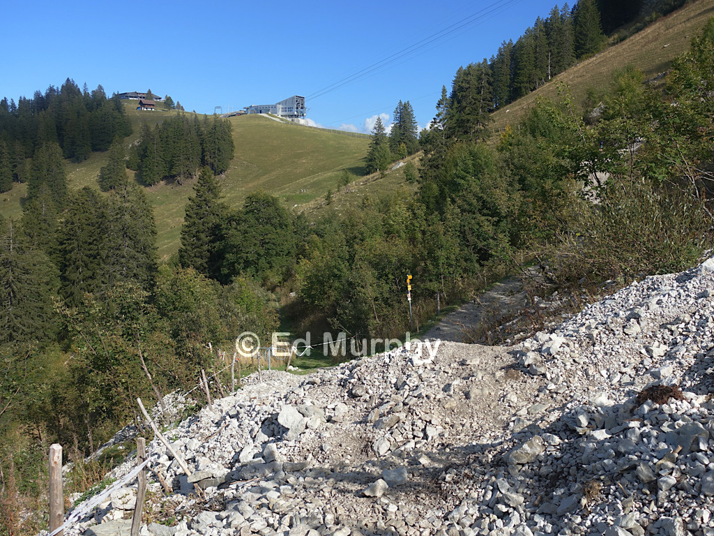 A small rockslide blocking the lower Mol&eacute;son track